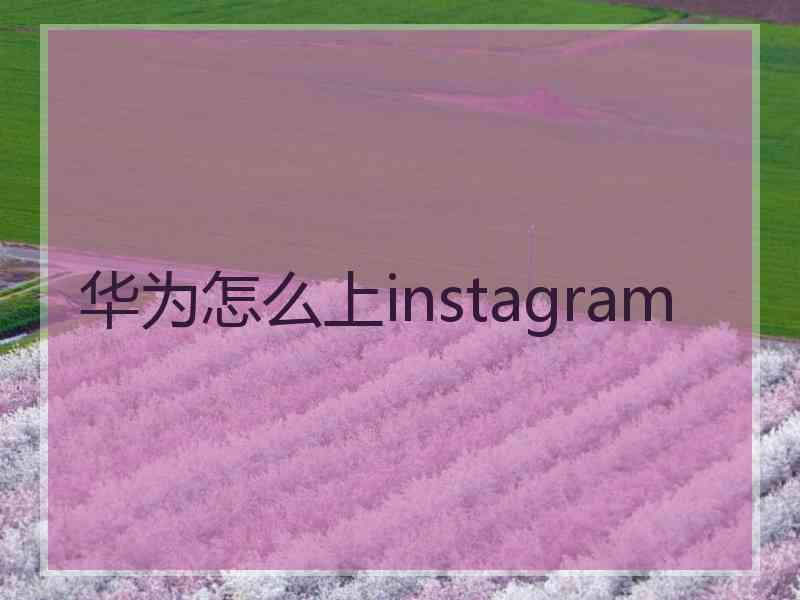 华为怎么上instagram