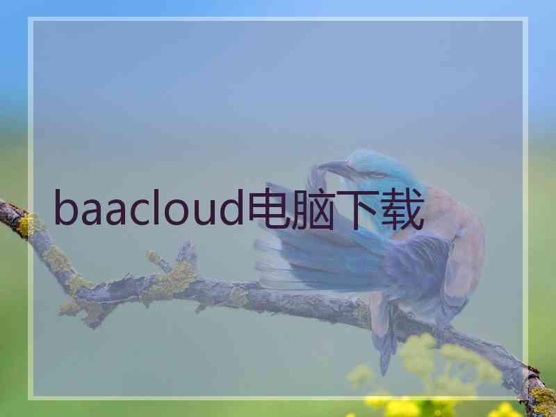 baacloud电脑下载