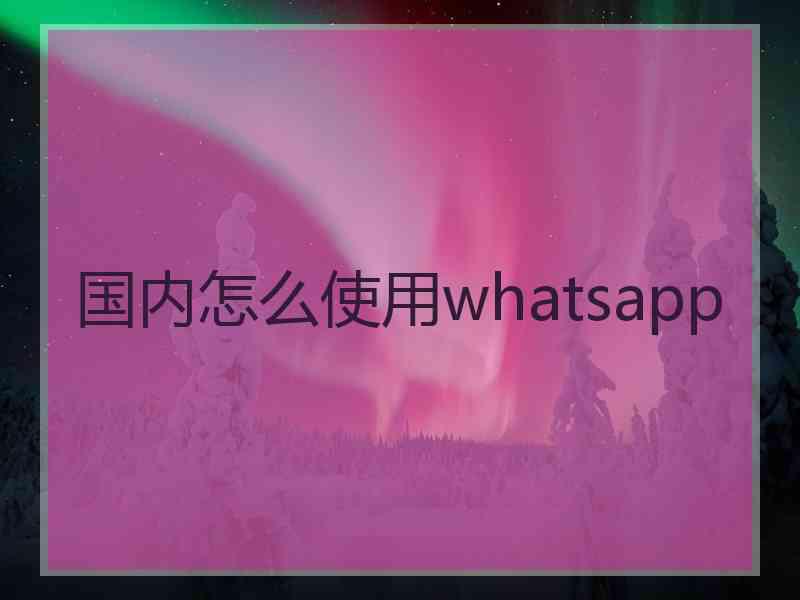 国内怎么使用whatsapp