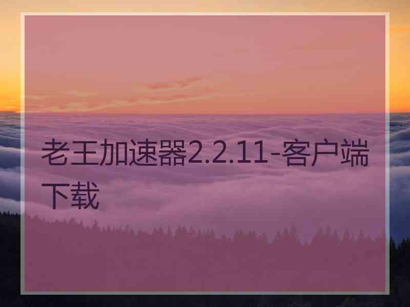 老王加速器2.2.11-客户端下载