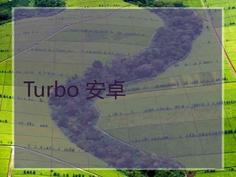 Turbo 安卓
