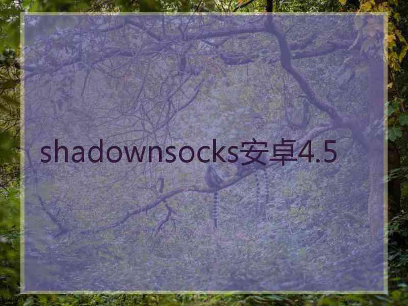 shadownsocks安卓4.5