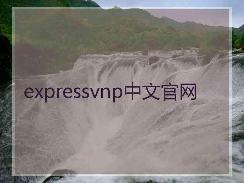 expressvnp中文官网